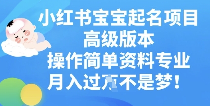 小红书宝宝起名项目高级版本，操作简单，资料专业，月入过W-聚成轻创