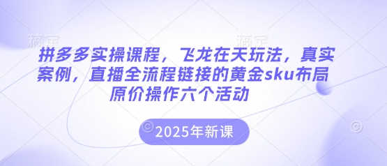 拼多多实操课程，飞龙在天玩法，真实案例，直播全流程链接的黄金sku布局原价操作六个活动-聚成轻创