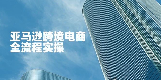 （14252期）亚马逊跨境电商全流程实操，教你从零开始，掌握店铺运营与广告技巧-聚成轻创