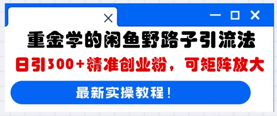 重金学的闲鱼野路子引流法，日引300+精准创业粉，可矩阵放大-聚成轻创