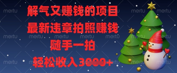 解气又挣钱的项目，最新违章拍照挣钱，随手一拍，轻松收入数张【揭秘】-聚成轻创